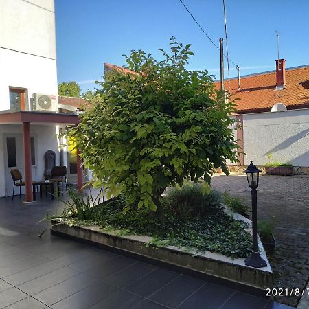 Apartman Tia أوسييك المظهر الخارجي الصورة