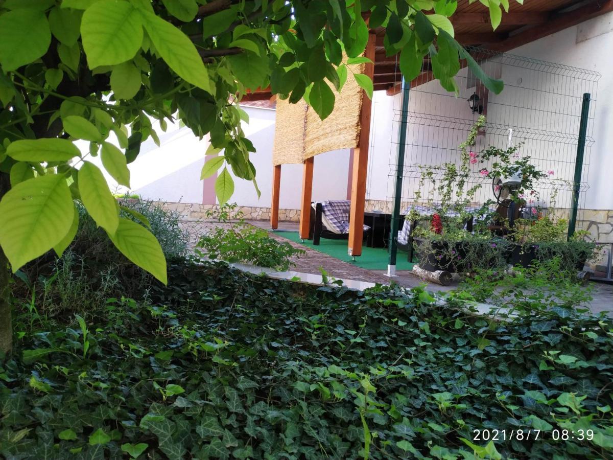 Apartman Tia أوسييك المظهر الخارجي الصورة